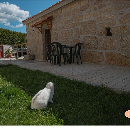 Casa Das Tias Baltar المظهر الخارجي الصورة